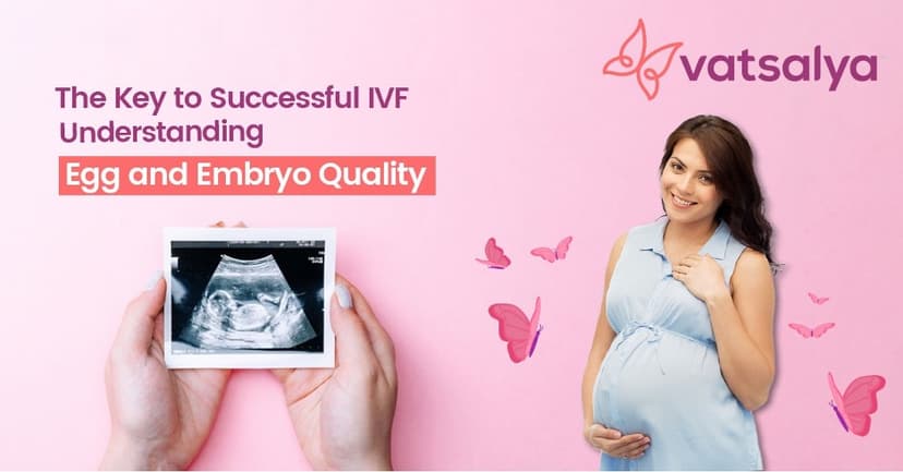 Video testimonial by The Key to Successful IVF: Understanding Egg and Embryo Quality