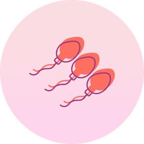 Male Fertility Issues icon