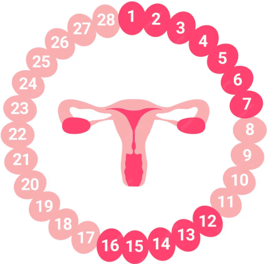 Irregular Menstrual Cycles